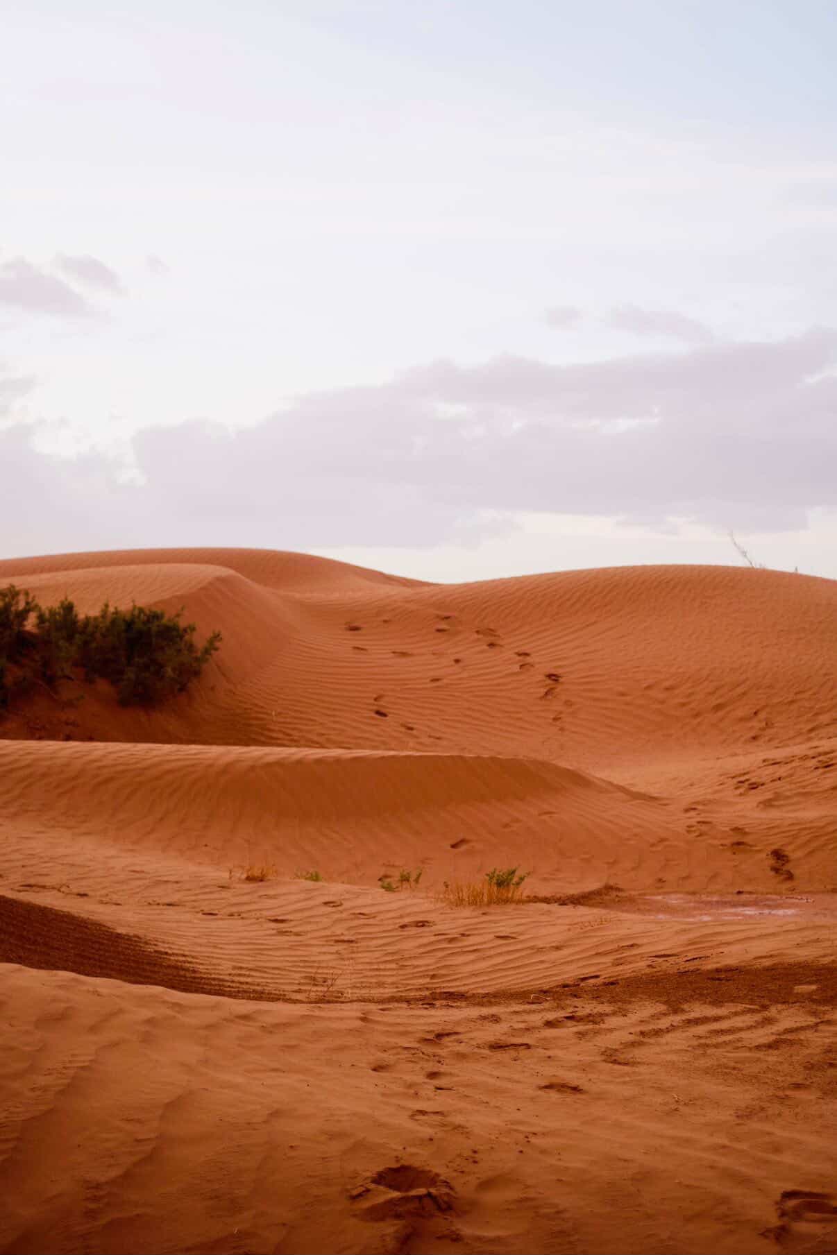 Dunes du désert marocain au silence